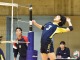 入替戦３４８