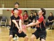 入替戦２１９