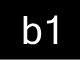 b1