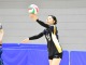 春季リーグ戦２４１