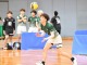 西日本２１９