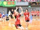 西日本２４５